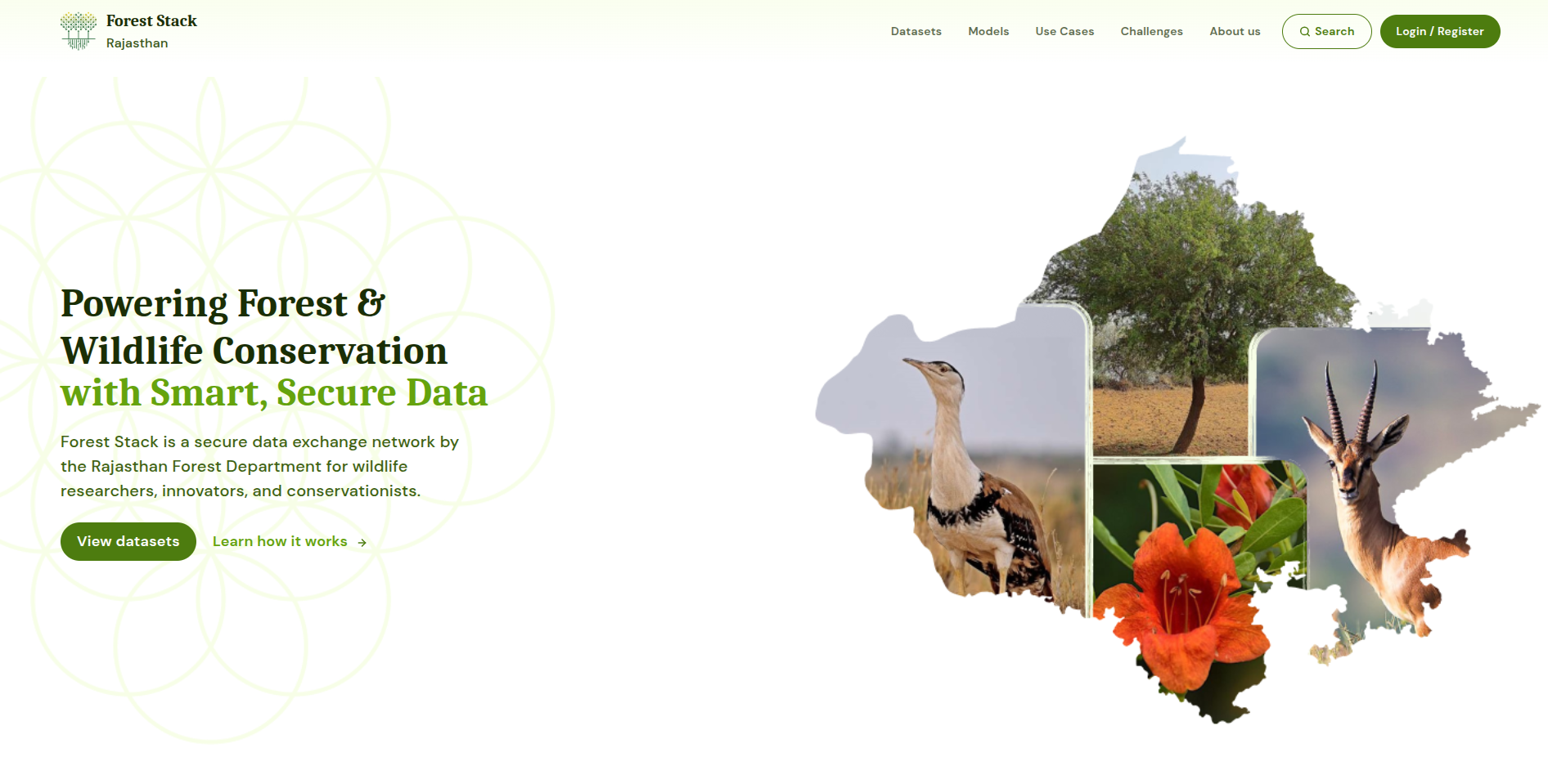 Hero section and Global search bar